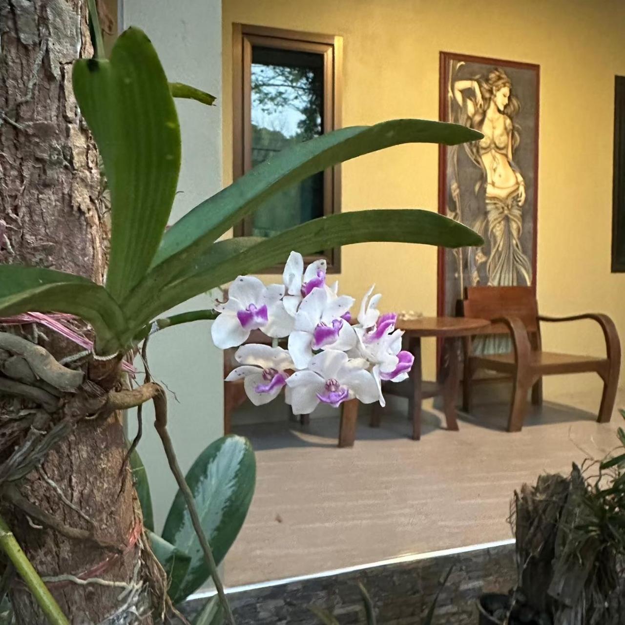 大房子度假村 达叻府 外观 照片