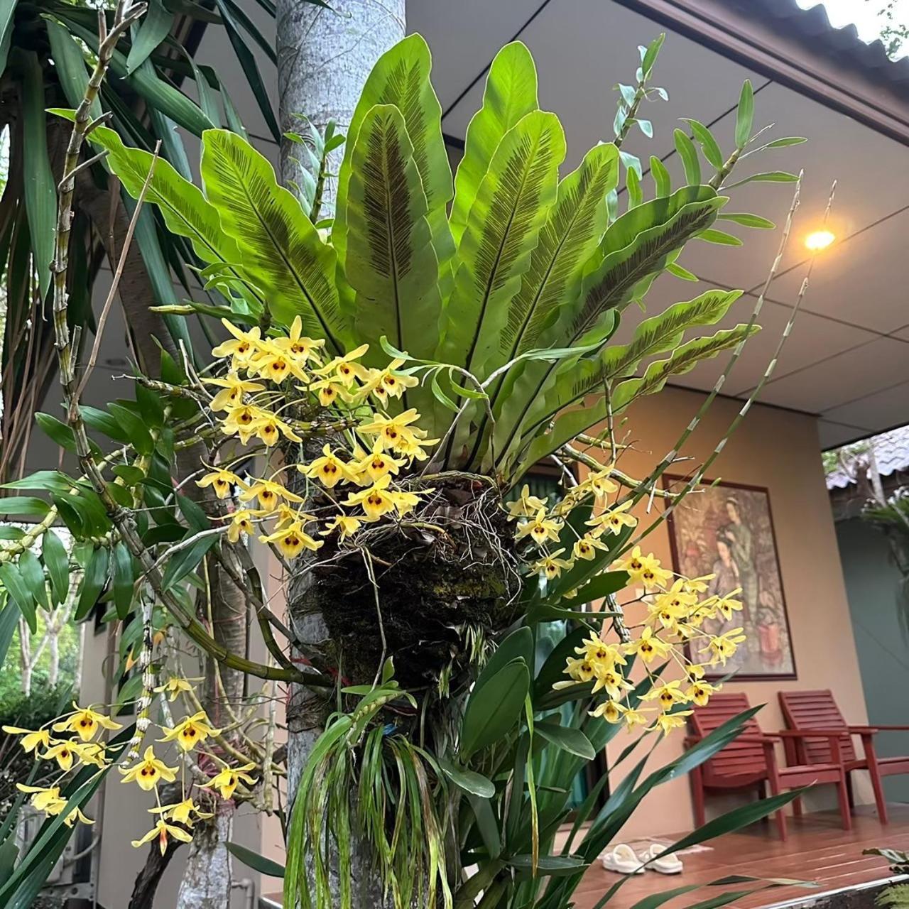 大房子度假村 达叻府 外观 照片